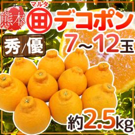 ”熊本産 マルタ（○田）デコポン” 秀・優品 7～12玉 約2.5kg JAあしきたマルタ選果場限定【予約 1月以降】 送料無料