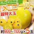 ”カリフォルニア産 メロゴールド” 超特大ジャンボサイズ 5玉 約4.5kg【予約 11月末以降】 送料無料