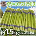 ”グリーンアスパラガス” 45～75本前後 約1.5kg /北海道/長野/広島/佐賀/福岡 など産地厳選【予約 3月末以降】 送料無料