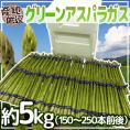 ”グリーンアスパラガス” 150～250本前後 約5kg /北海道/長野/広島/佐賀/福岡 など産地厳選【予約 3月末以降】 送料無料