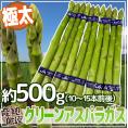 ”極太グリーンアスパラガス” 10～15本前後 約500g 北海道/長野/広島/佐賀/福岡 など産地厳選【予約 4月以降】