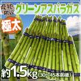 ”極太グリーンアスパラガス” 30～45本前後 約1.5kg 北海道/長野/広島/佐賀/福岡 など産地厳選【予約 4月以降】 送料無料