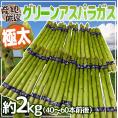 ”極太グリーンアスパラガス” 40～60本前後 約2kg 北海道/長野/広島/佐賀/福岡 など産地厳選【予約 4月以降】 送料無料