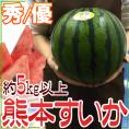 熊本県 ”熊本すいか” 秀/優品 約5kg以上 1玉【予約 4月以降】 送料無料