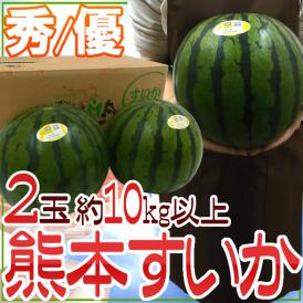 熊本県 ”熊本すいか” 秀/優品 約5kg以上×2玉（合計約10kg以上）【予約 5月中旬以降】 送料無料