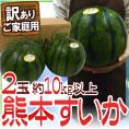 熊本県 ”熊本すいか” 訳あり 約5kg以上×2玉(合計約10kg以上)【予約 4月以降】 送料無料