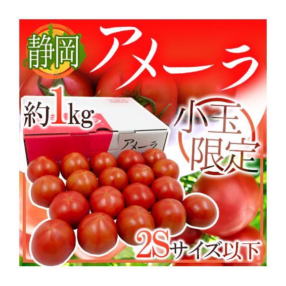 静岡県 ”高糖度フルーツトマト アメーラ” 2S以下 小玉限定 約1kg 化粧箱入り01