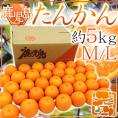 鹿児島産 ”たんかん” 秀品 M/Lサイズ 約5kg【予約 2月中旬以降】 送料無料