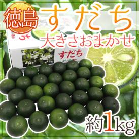 徳島県特産の香酸柑橘「すだち」爽やかな酸味と独特の風味はクセになります♪