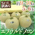 高知県夜須産 ”エメラルドメロン” ちょっと訳あり 大玉 5～6玉入り 約9～10kg【予約 入荷次第発送】 送料無料