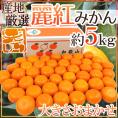 ”麗紅（れいこう）みかん” 秀品 約5kg 大きさおまかせ 産地厳選 麗江【予約 2月末以降】 送料無料