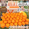 ”麗紅（れいこう）みかん” 訳あり 約5kg 大きさおまかせ 産地厳選【予約 2月末以降】 送料無料