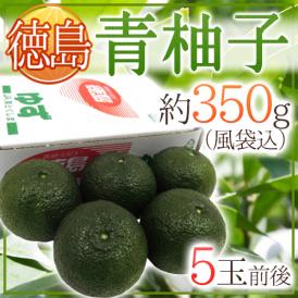 徳島産 ”青柚子” 秀品 5～6玉前後 約350g 青ゆず【予約 4月下旬以降】