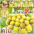 ”紀州・和歌山産 南高梅 完熟” 4L 約1kg ちょっと訳あり《9kg以上ご購入で送料無料＆1kgおまけ》【予約 6月以降】