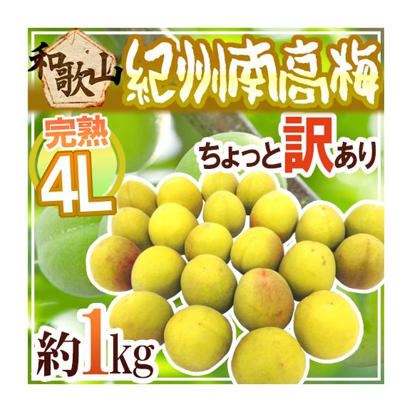 国華園オンラインショップ / 梅 和歌山産 ご家庭用 南高梅・熟梅