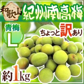 紀州・和歌山産 ”南高梅 青梅” ちょっと訳あり L 約1kg《9kg以上ご購入で送料無料＆1kgおまけ》【予約 5月中旬以降】