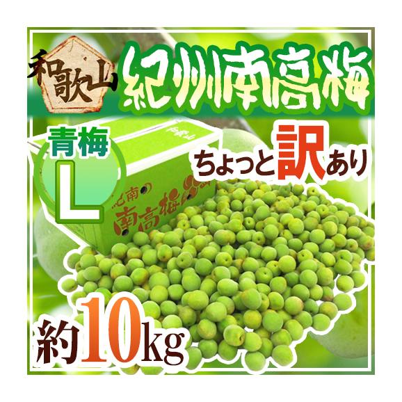ブランド通販サイト 紀州・和歌山産 ”南高梅 青梅” ちょっと訳あり L 約10kg【予約 5 梅