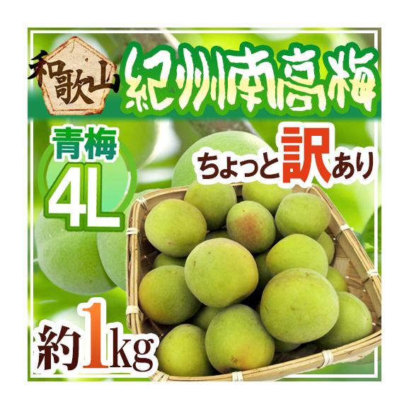 高速 割引 平日 南高梅 紀州・和歌山産 青梅” 約1kg《9kg以上 4L ちょっと訳あり 梅