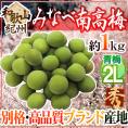 ”紀州・和歌山産 みなべ南高梅 青梅” 秀品 2L 約1kg《10キロ以上ご購入で送料無料》【予約 5月中旬以降】