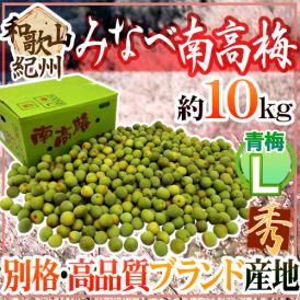 紀州・和歌山産 ”みなべ南高梅 青梅” 秀品 L 約10kg【予約 5月中旬以降】 送料無料