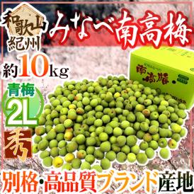 紀州・和歌山産 ”みなべ南高梅 青梅” 秀品 2L 約10kg【予約 5月中旬以降】 送料無料