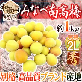 紀州・和歌山産 ”みなべ南高梅 熟梅” 秀品 2L 約1kg《10キロ以上ご購入で送料無料》【予約 6月以降】