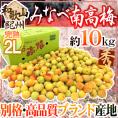 紀州・和歌山産 ”みなべ南高梅 熟梅” 秀品 2L 約10kg【予約 6月以降】 送料無料