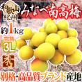”紀州・和歌山産 みなべ南高梅 熟梅” 秀品 3L 約1kg《10キロ以上ご購入で送料無料》【予約 6月以降】