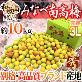 ブランド梅、みなべの南高梅 約10キロ！梅干し・梅ジャムに♪