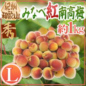 紀州・和歌山産 ”みなべ紅南高梅” 秀品 L 約1kg【予約 5月末以降】