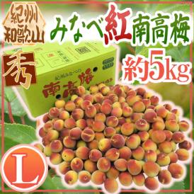 紀州・和歌山産 ”みなべ紅南高梅” 秀品 L 約5kg【予約 5月末以降】 送料無料