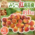 ”紀州・和歌山産 みなべ紅南高梅” 秀品 2L 約1kg【予約 5月末以降】