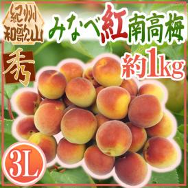 紀州・和歌山産 ”みなべ紅南高梅” 秀品 3L 約1kg【予約 5月末以降】