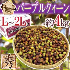 紀州・和歌山産 ”JA紀南 パープルクイーン” 秀品 L～2L 約4kg
