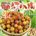 ”紀州・和歌山産 JA紀南 紅小梅” 秀品 大粒2L 約1kg【予約 5月中旬以降】