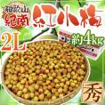 紀州・和歌山産 ”JA紀南 紅小梅” 秀品 大粒2L 約4kg【予約 5月中旬以降】 送料無料