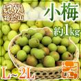 ”紀州・和歌山産 小梅” 秀品 L・2Lサイズ 約1kg【予約 5月中旬以降】