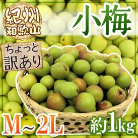 紀州・和歌山産 ”小梅” ちょっと訳あり M・L・2Lサイズ 約1kg【予約 5月中旬以降】