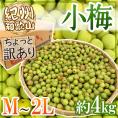 紀州・和歌山産 ”小梅” ちょっと訳あり M・L・2Lサイズ 約4kg【予約 5月中旬以降】 送料無料