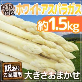 ”ホワイトアスパラガス” 訳あり 約1.5kg 北海道/長野/広島/佐賀/福岡 など産地厳選【予約 3月末以降】 送料無料