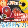 父の日ギフト ”佐藤錦＋太陽のタマゴ” 大玉2Lサイズ＋ひまわり生花1本【予約 6月8～15日お届け予定】 送料無料