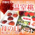 母の日ギフト ”山梨 温室桃&カーネーション生花” 化粧箱 3~6玉 約1kg【予約 5月2日~5月10日お届け予定】 送料無料