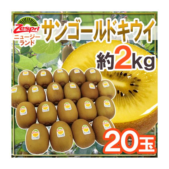 ゼスプリ ニュージーランド ”サンゴールドキウイ” 20玉 約2kg【予約 4月下旬以降】 送料無料01