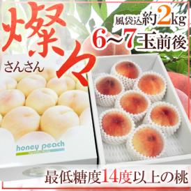 究極の桃 ”和歌山県 燦々（さんさん）” 大玉6〜7玉前後 風袋込約2kg 化粧箱 糖度14度以上【予約 7月中旬以降】 送料無料