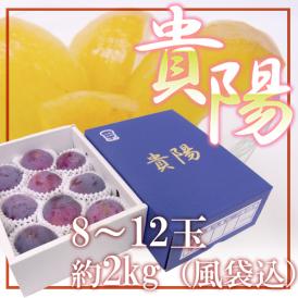 山梨産 ”貴陽” 8～12玉 約2kg（風袋込）化粧箱 プラム【予約 7月以降】 送料無料