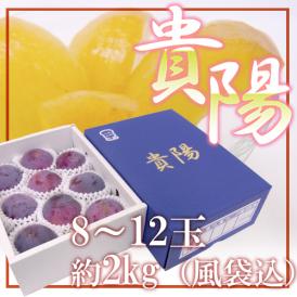 山梨産 ”貴陽” 8〜12玉 約2kg（風袋込）化粧箱 プラム【予約 7月以降】 送料無料