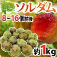 赤肉プラム ”山梨県産 ソルダム” 8～16玉前後 約1kg【予約 7月以降】 送料無料