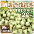 ”新たまねぎ” 訳あり 約20kg 九州・四国・淡路・北海道 産地厳選【予約 3月下旬以降】 送料無料