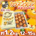 愛媛産 ”匠と極 カラマンダリン” 12～15玉 約1.2kg ゆるキャラ「みきゃん」化粧箱【予約 4月下旬以降】 送料無料