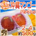 沖縄産 ”ミニマンゴー” 秀品 2～4玉 約500g パック 沖縄マンゴー【予約 7月以降】